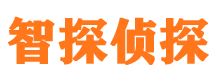 平乡智探私家侦探公司